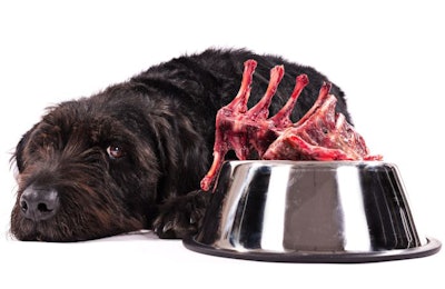 Black Dog Raw Meat Bowl