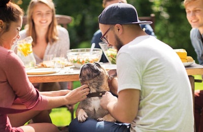 pet-owners-picnic