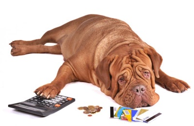 Dog Calculator Coins Money Credit Cards Debt