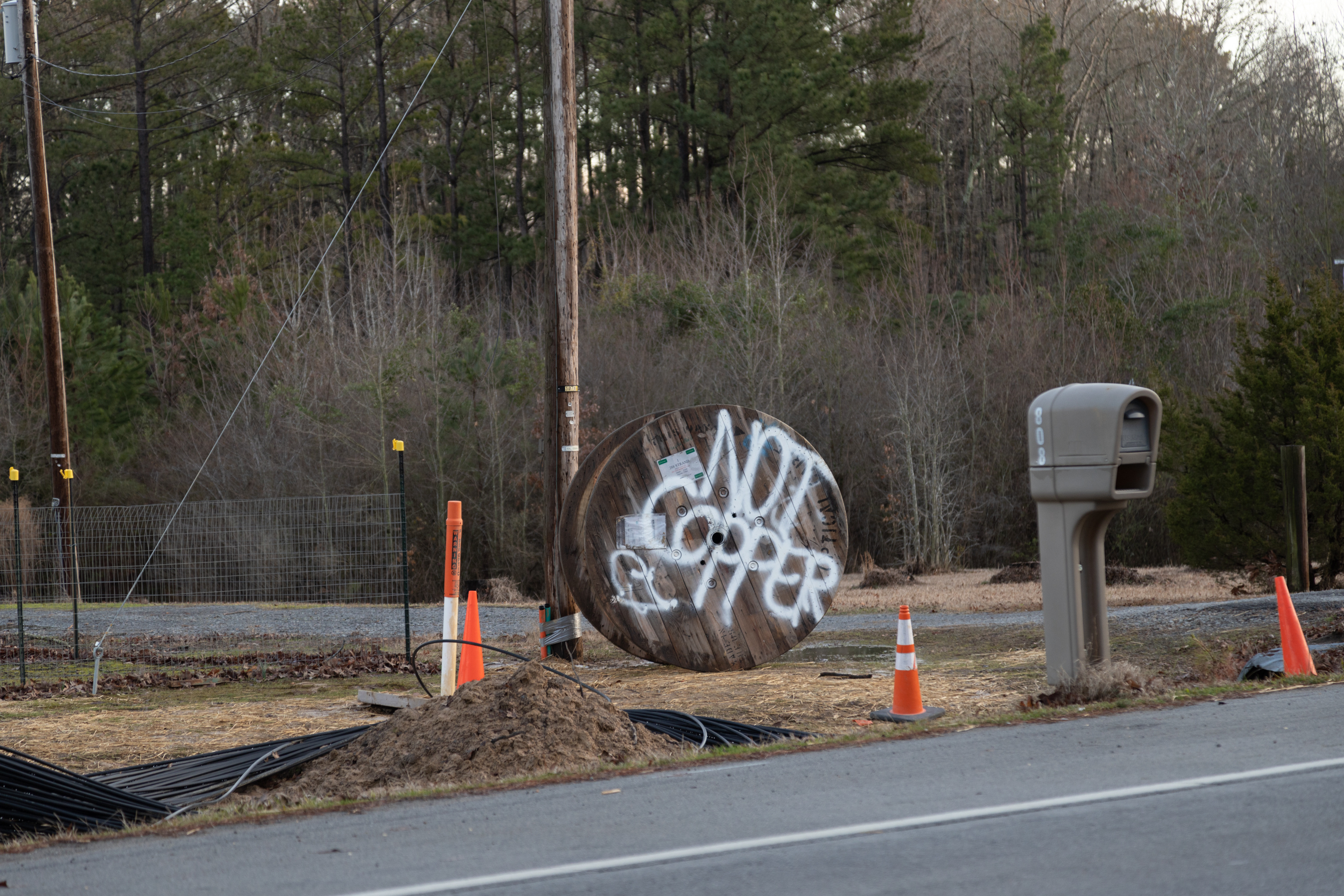 Mitch Adobe Stock 571742893