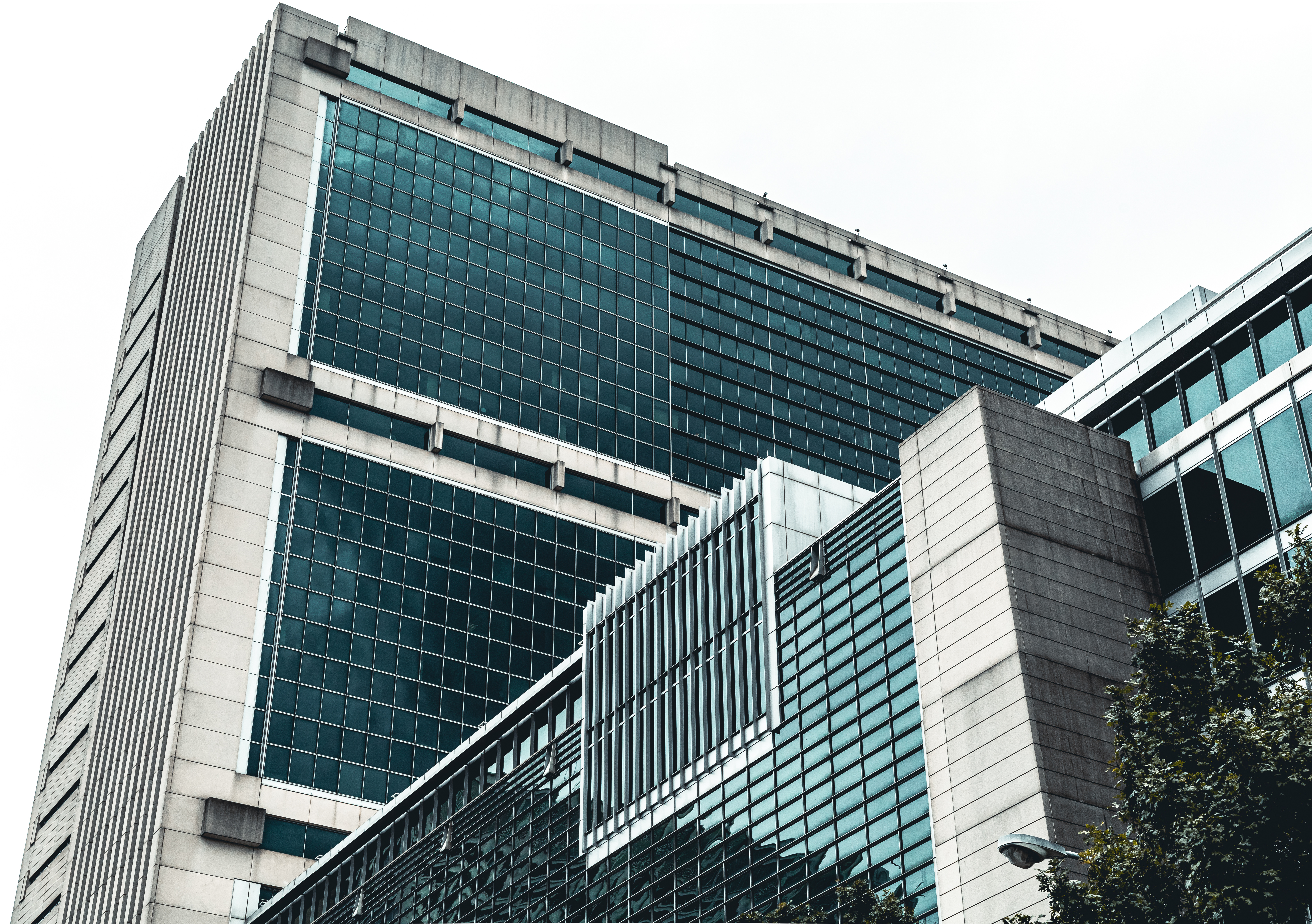 Adobe Stock 463645324