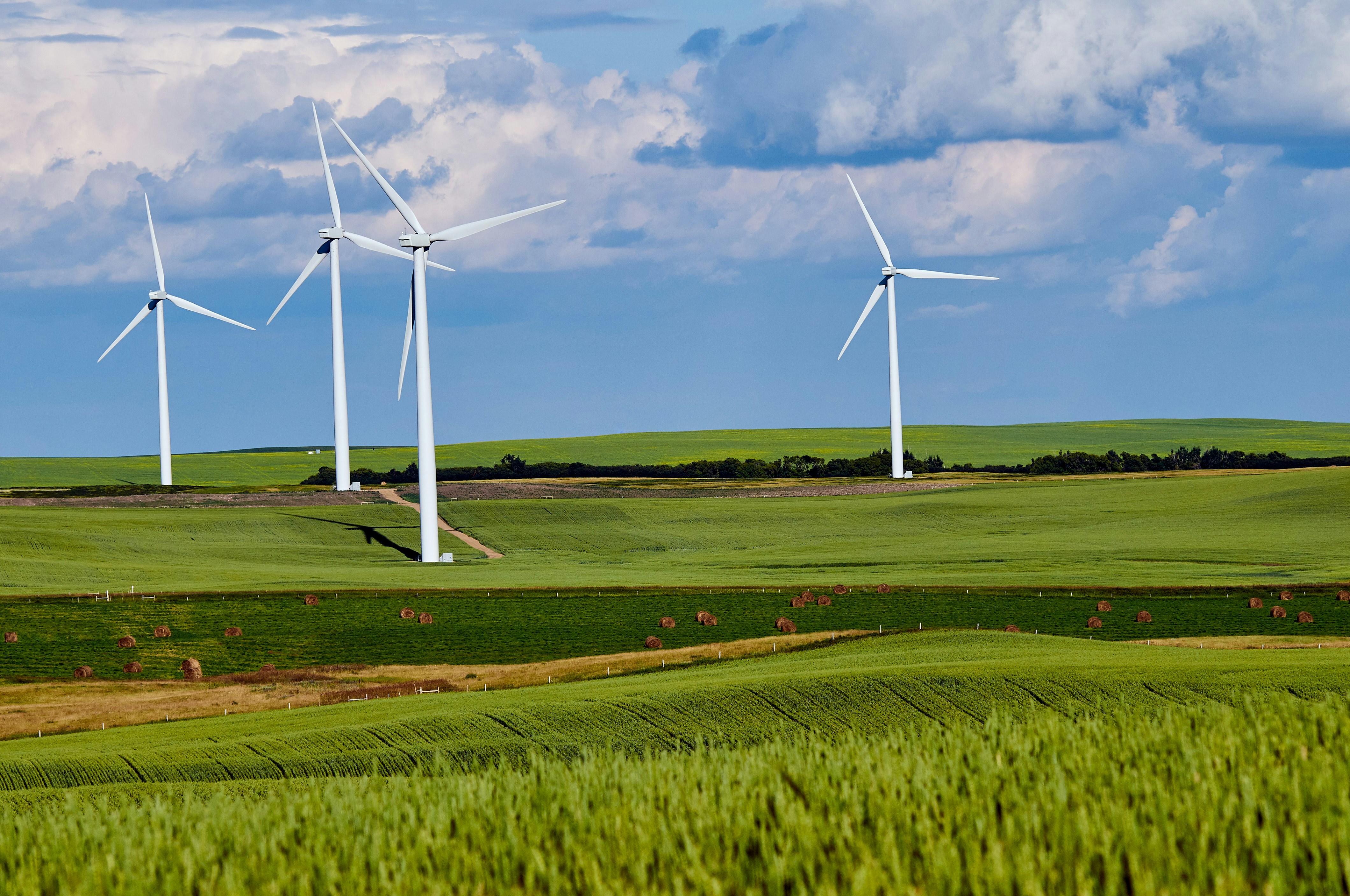 Wind turbines in a green agricultural field. | Photo by Abby Anaday