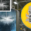 Exair Sized
