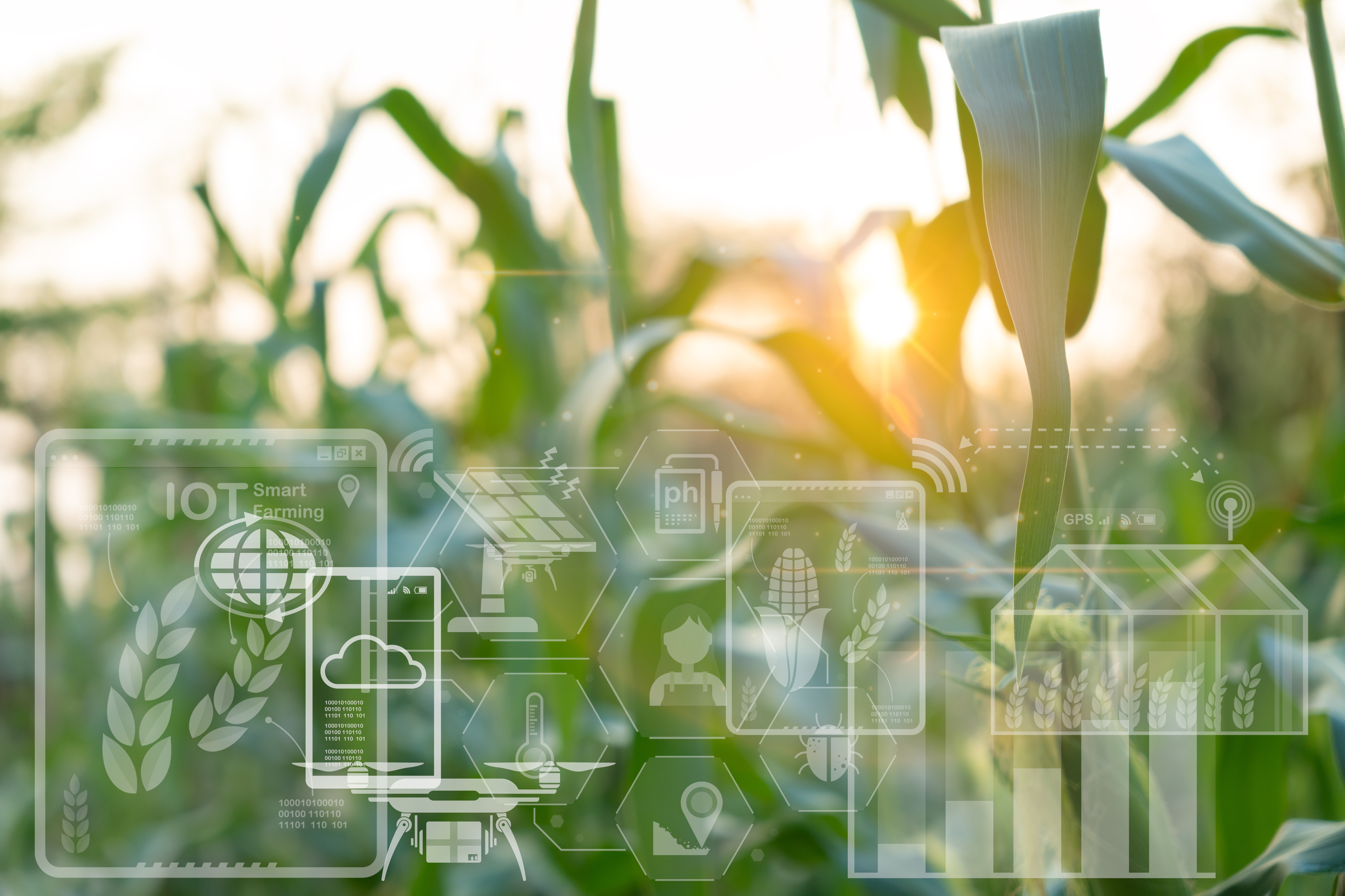Arista Cyber Smart Farming Iot Ot Hr