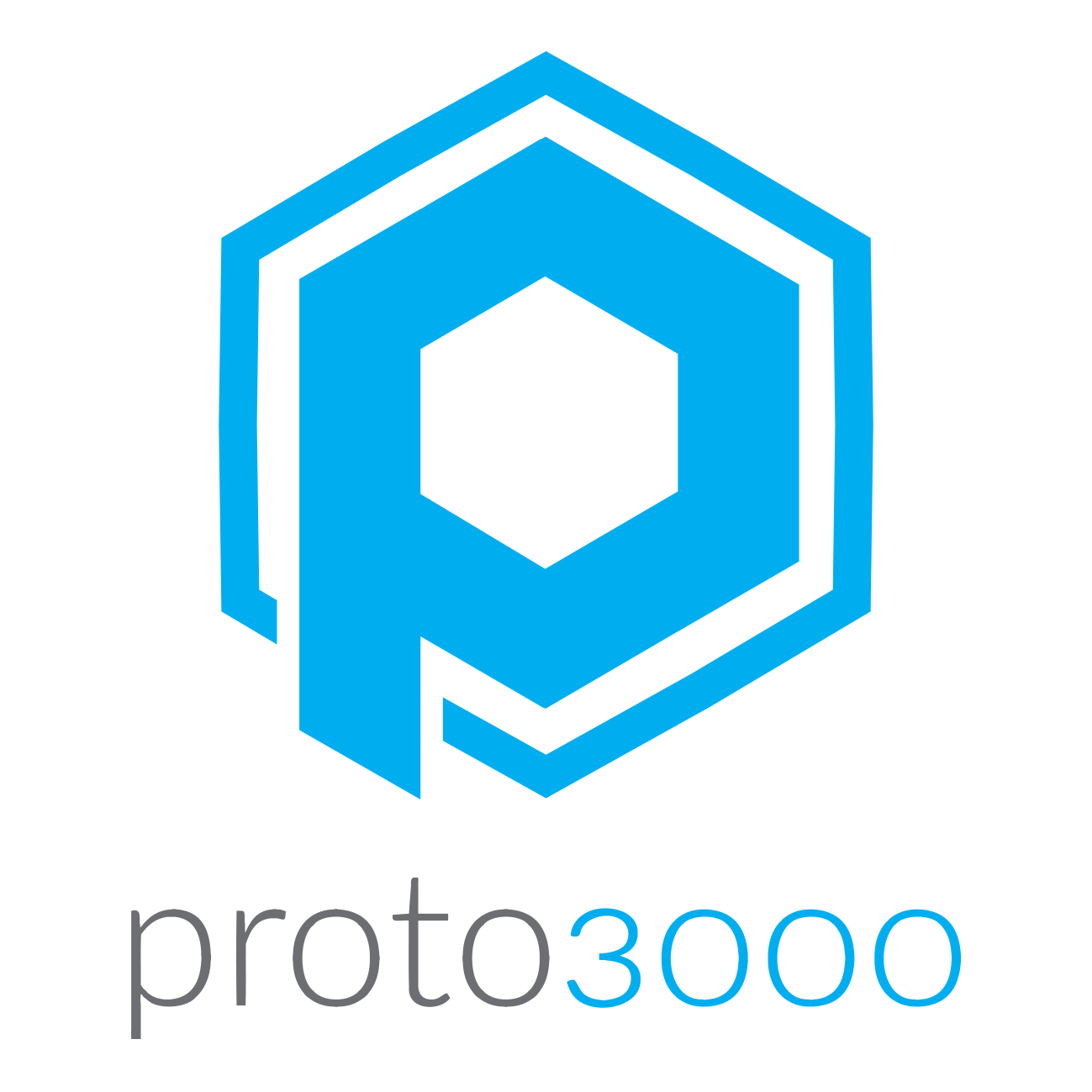Proto3000 Logo
