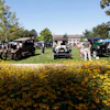Thf Old Car Festival