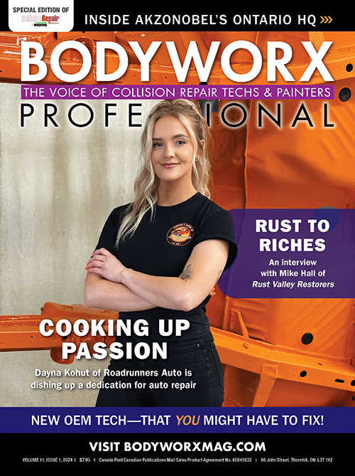 Bodyworx Professional Bodyworx Professional 11#1