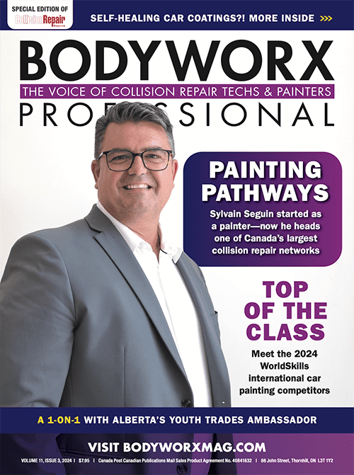 Bodyworx Professional Bodyworx Professional 11#3