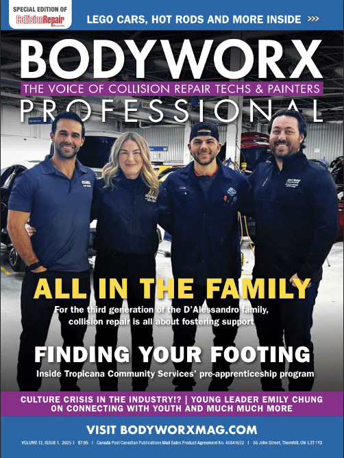 Bodyworx Professional Bodyworx Professional 12#1