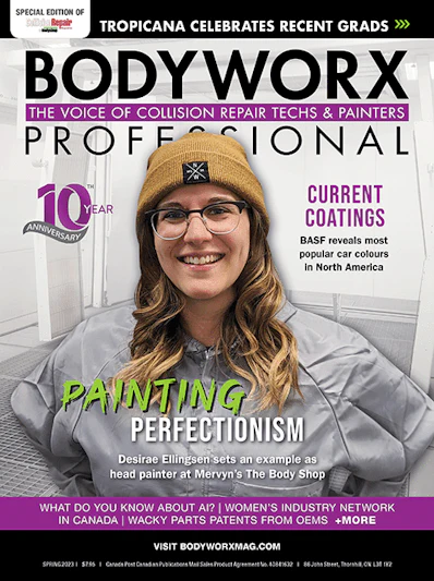 Bodyworx Professional Bodyworx Professional 10#1