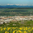 Cochrane