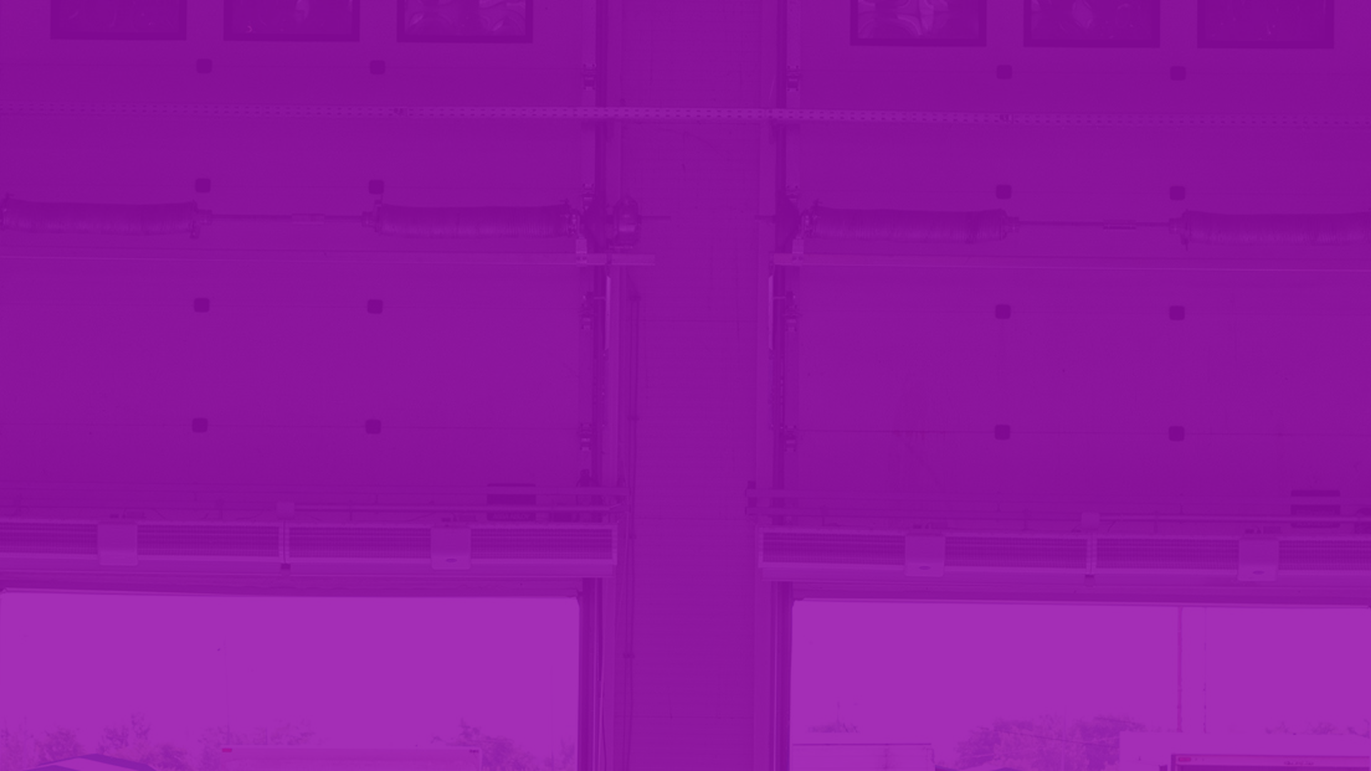Article Purple Img