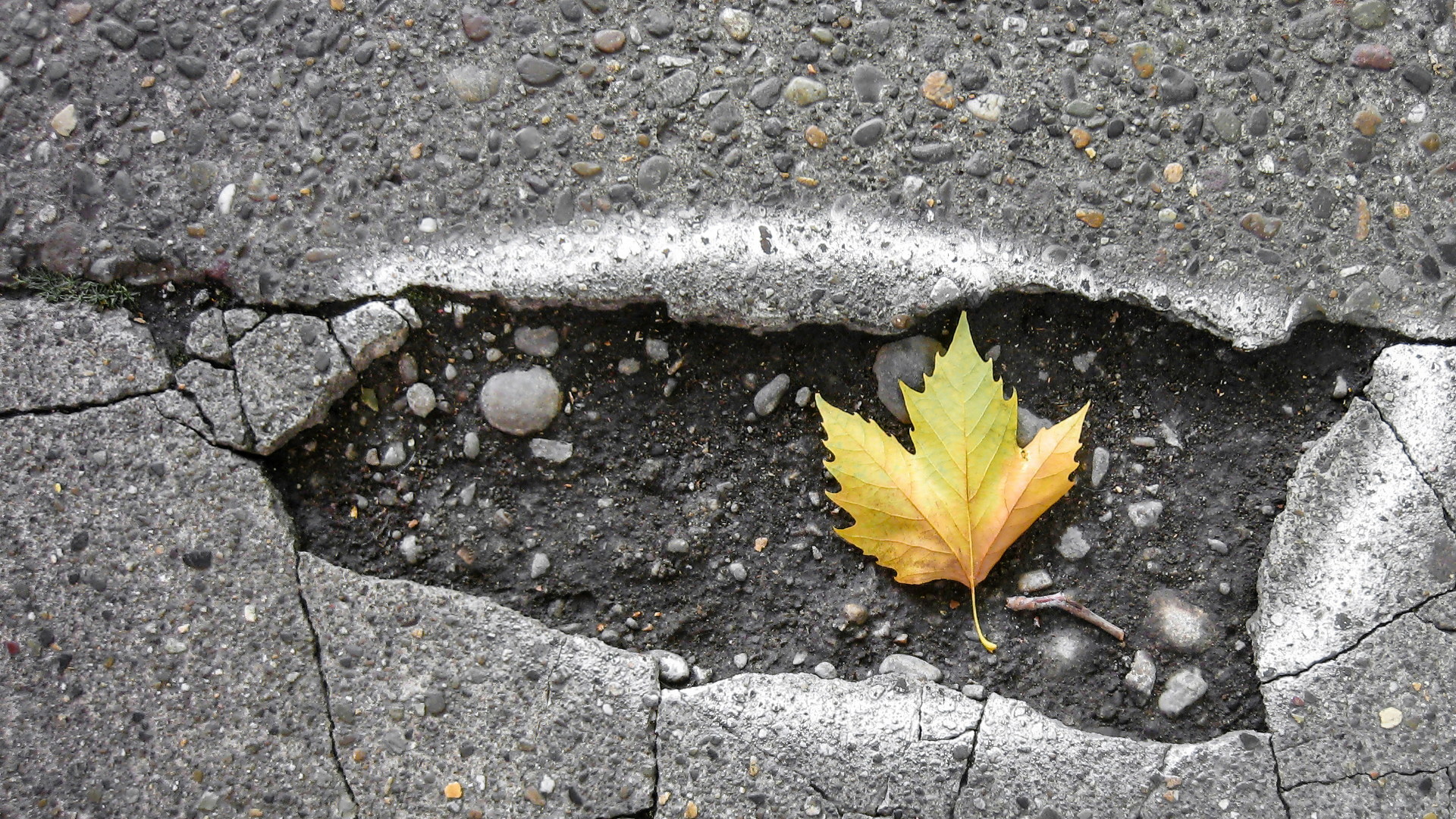 Untitled Design (9)